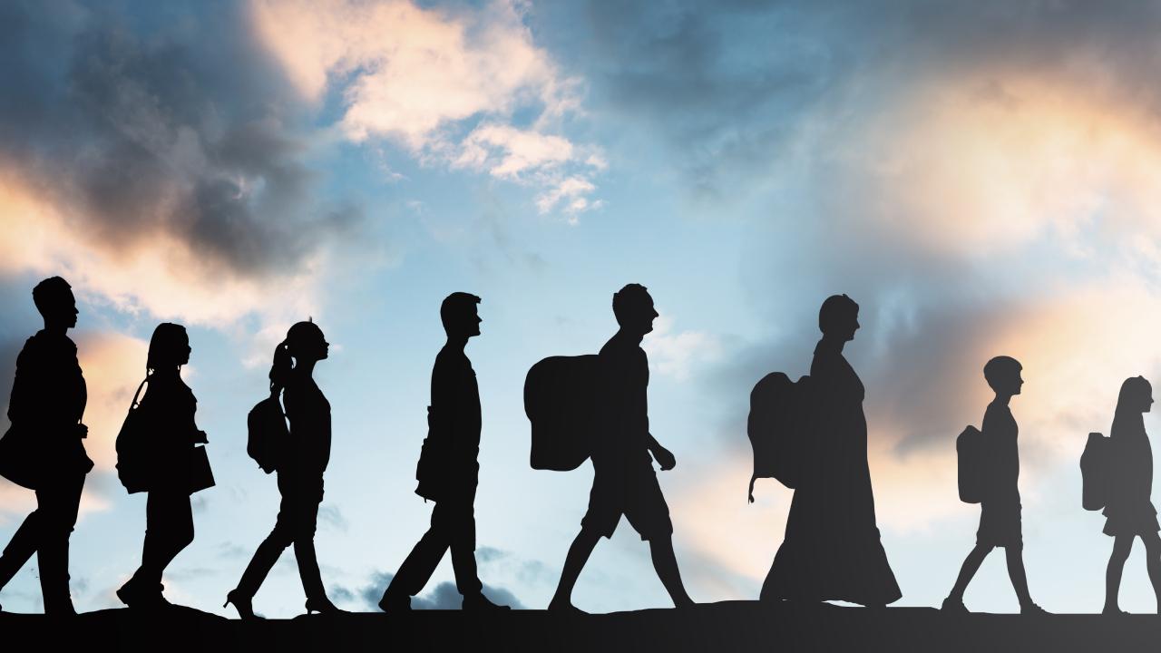 es/multeci-ve-goc-hukuku