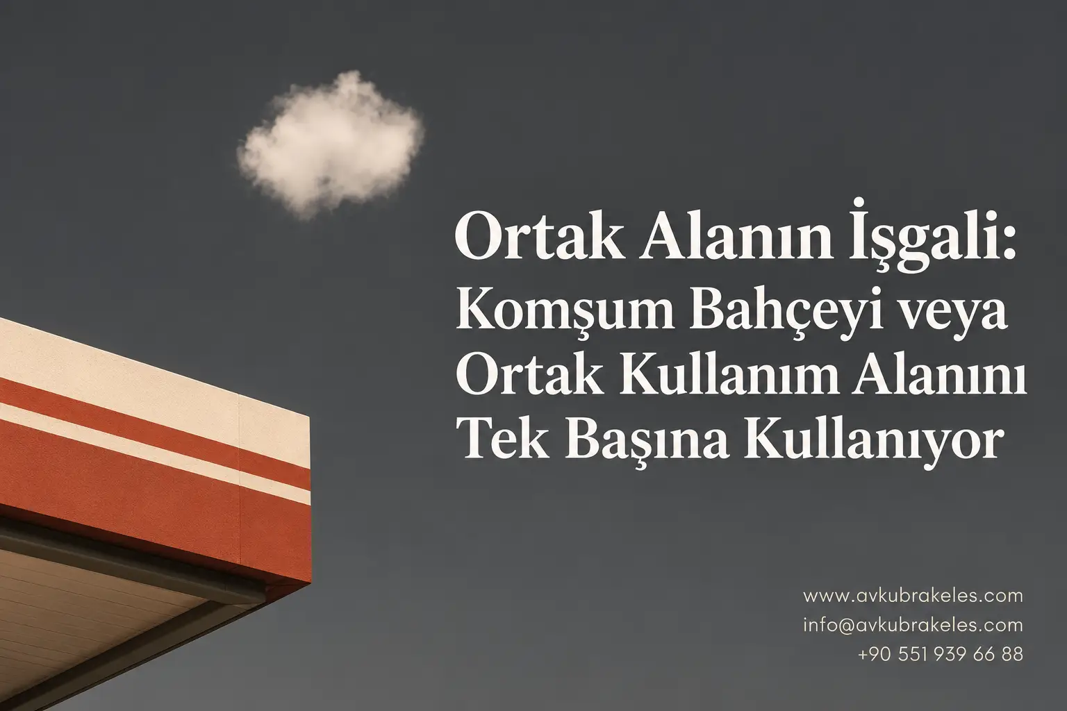Ortak Alan İşgaline Karşı Ne Yapılabilir