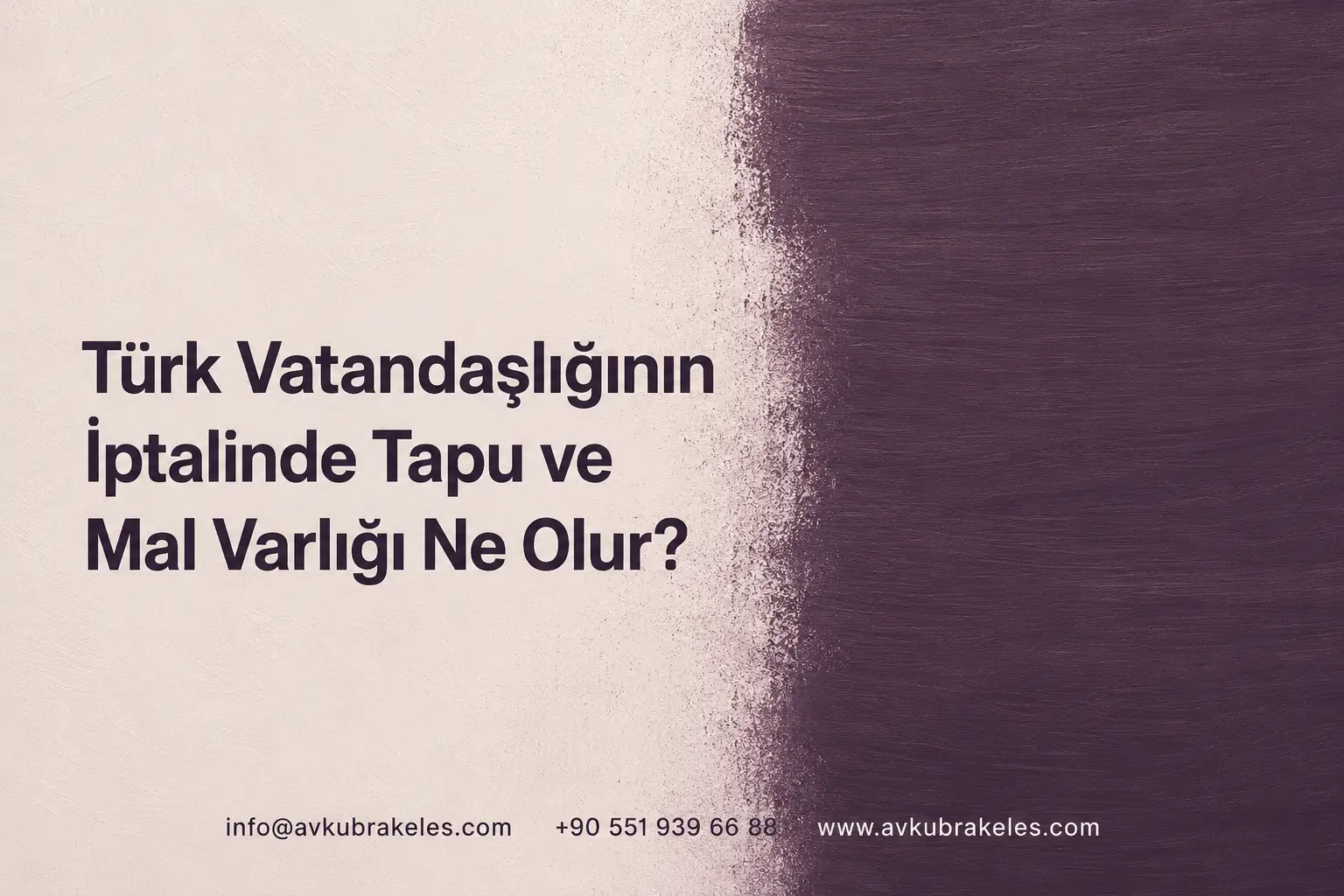 Vatandaşlık İptalinde Tapu ve Malvarlığı Ne Olur