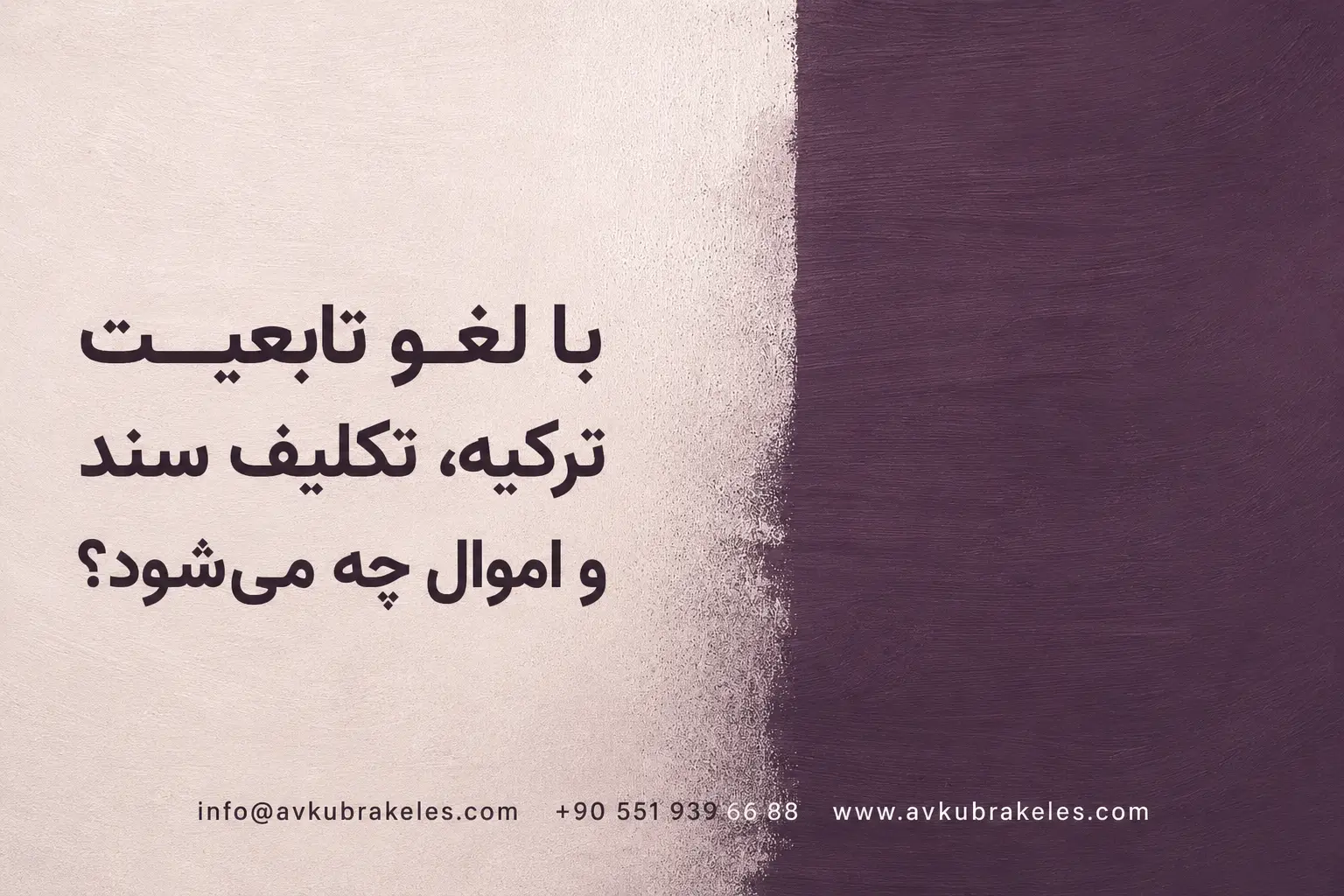تکلیف ملک و اموال پس از لغو تابعیت ترکیه